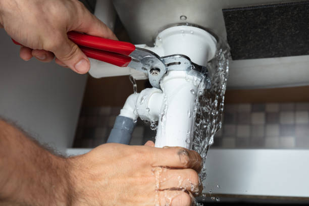 Best Water damage contractors near me  in Windsor, NC