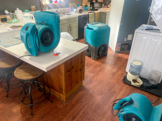 Best Flooded house restoration  in Windsor, NC