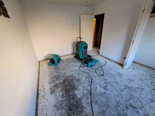 Windsor, NC Water damage restoration Company
