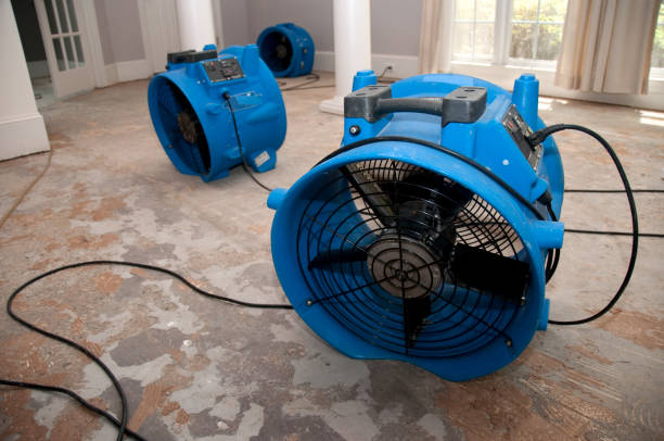 Best Ceiling water damage repair  in Windsor, NC