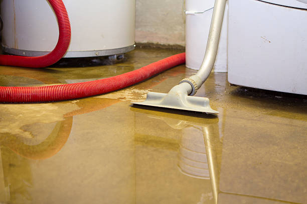 Best Ceiling water damage repair  in Windsor, NC