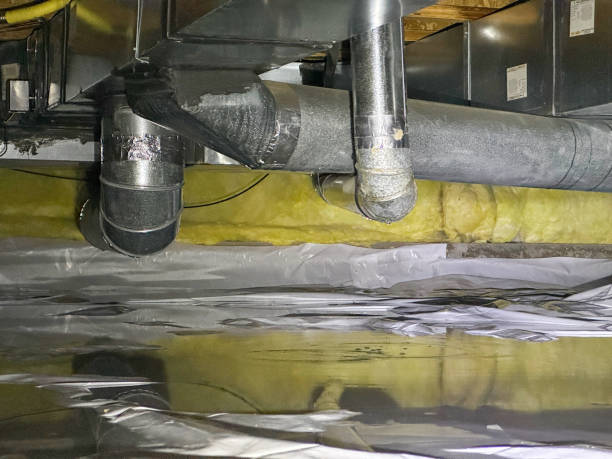 Best Water damage restoration process  in Windsor, NC