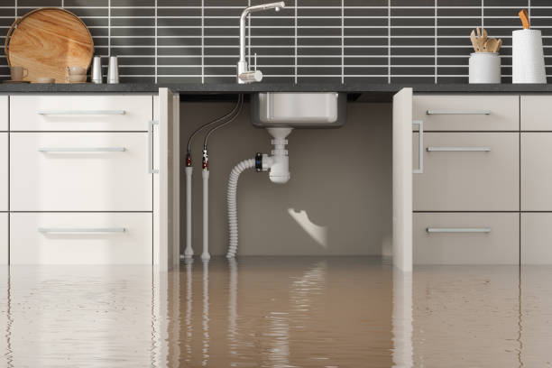 Best Water damage restoration near me  in Windsor, NC