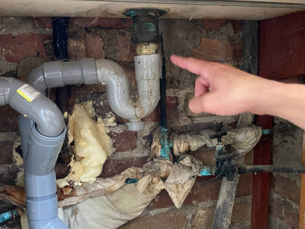 Carpet water damage restoration in Windsor, NC