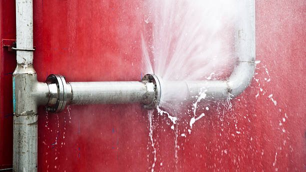 Best Sewage cleanup and water damage restoration  in Windsor, NC